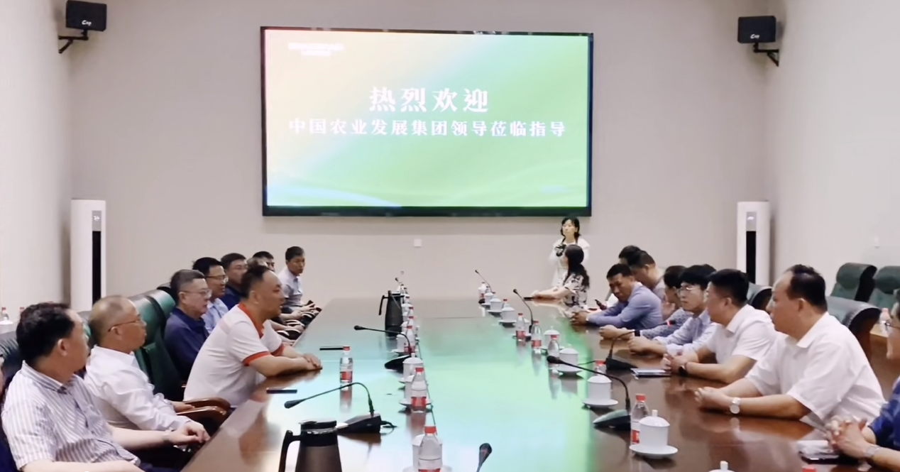 華光國(guó)瓷，質(zhì)量杠杠滴！