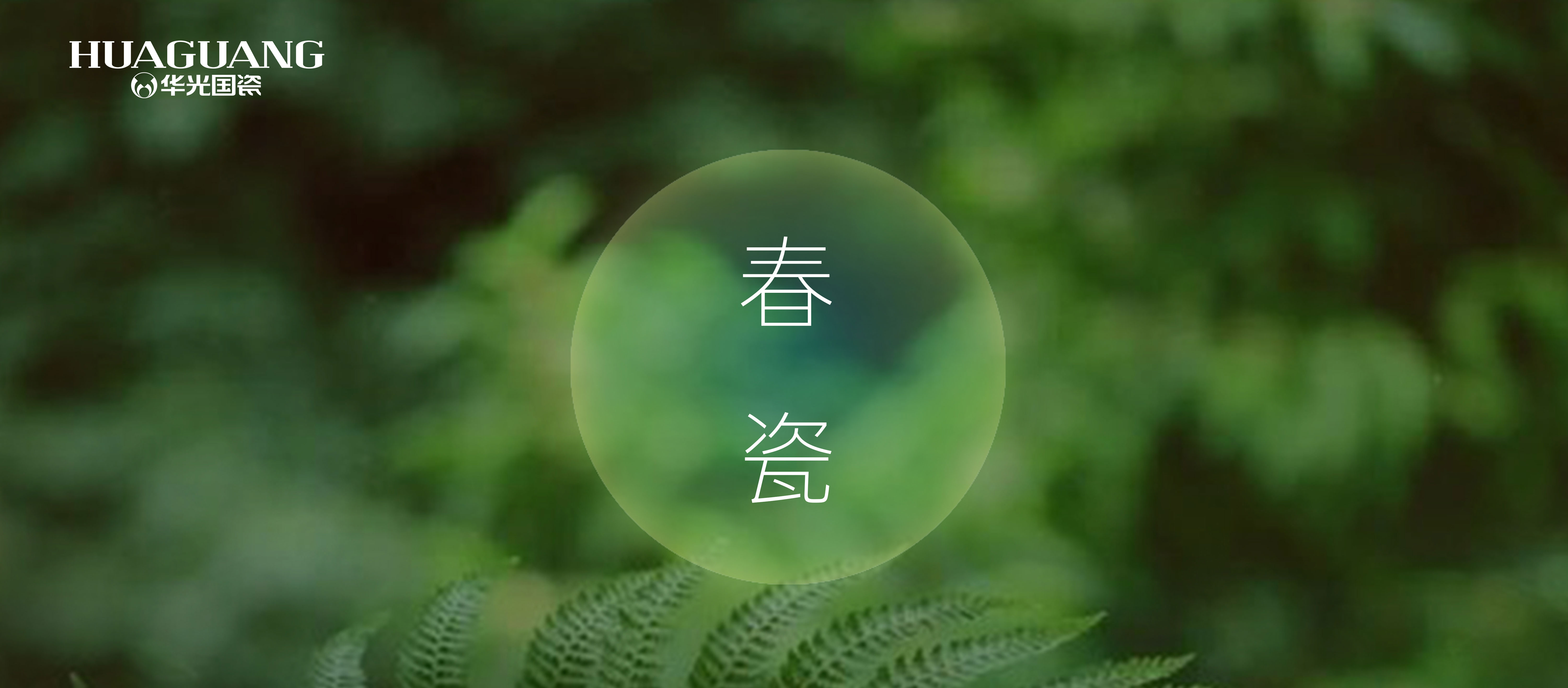 春日品茗丨雅瓷共賞 春色絢爛